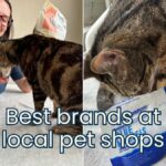 best brands at local pet store for cats jess and jericho caticles