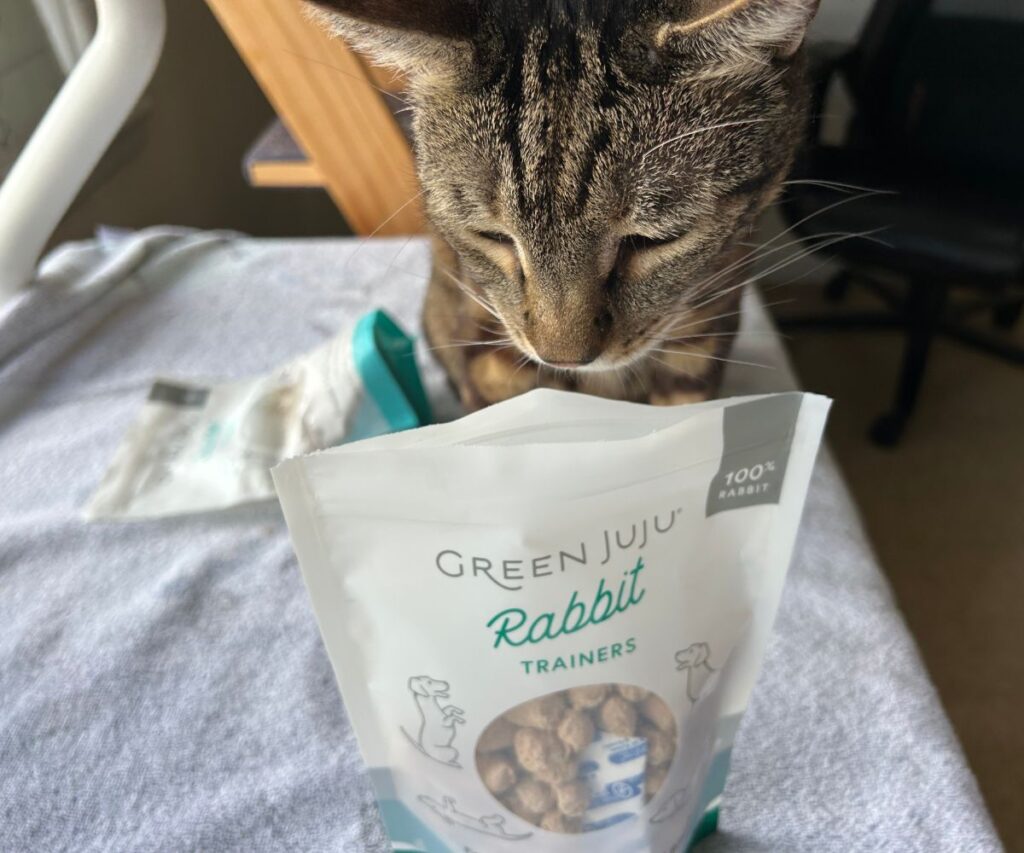 green juju freeze dried raw cat treats jess and jericho caticles.com