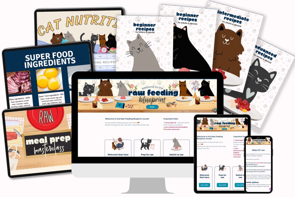 raw feeding blueprint course mockup