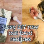 Alnutrin for meat and bone recipes for cats jess and jericho caticles