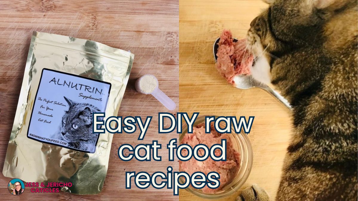 Alnutrin for meat and bone recipes for cats jess and jericho caticles