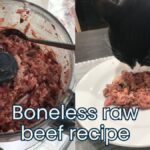 easy raw beef cat food recipe for adults and kittens jess and jericho caticles