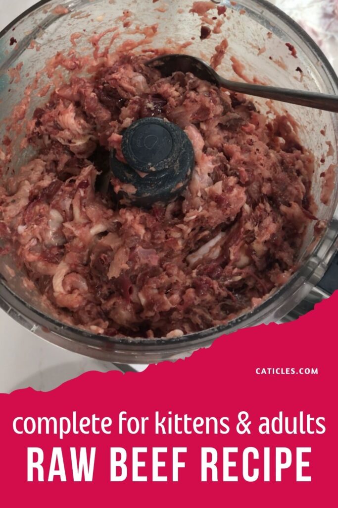 easy raw beef cat food recipes jess and jericho caticles.com