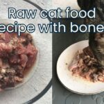 Raw beef and chicken cat food recipe with bones jess and jericho caticles