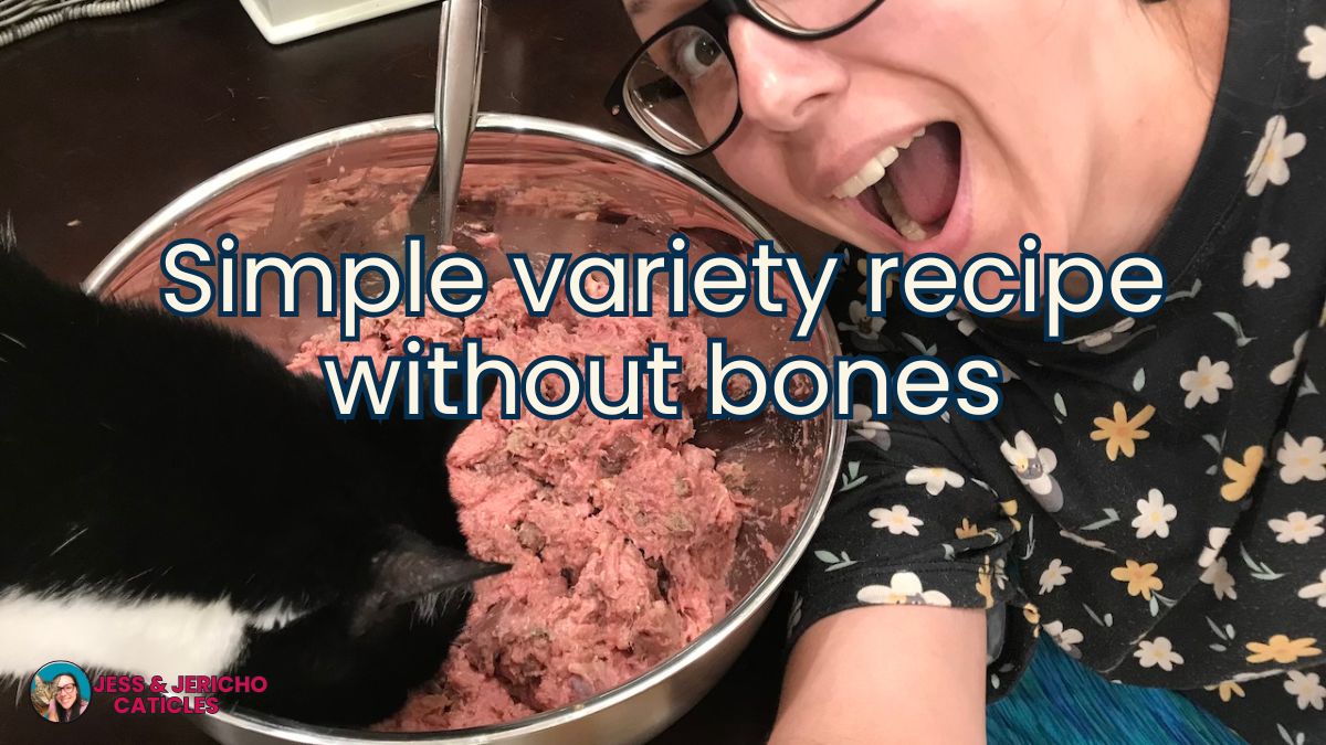 Simple raw chicken, turkey, beef cat food recipe without bones jess and jericho caticles.com