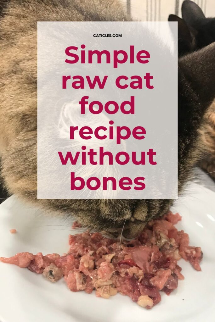 simple raw cat food recipe without bones jess and jericho caticles.com