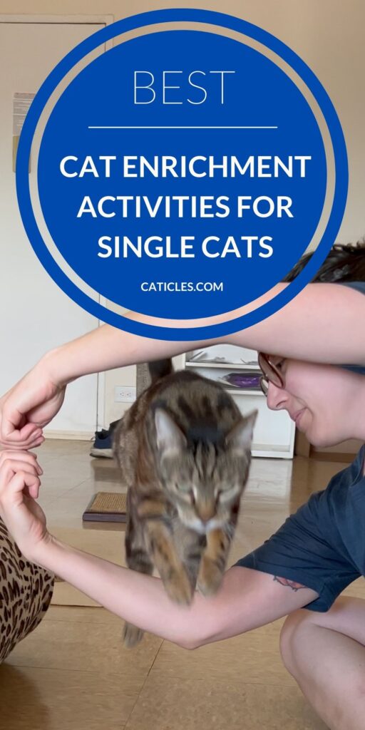 best cat enrichment activities for cats caticles.com agility course