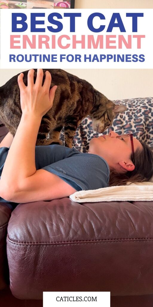 best cat enrichment routine for happiness caticles.com