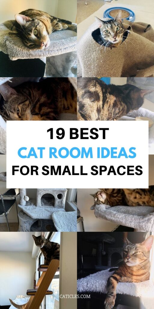 best cat room ideas for small spaces caticles.com