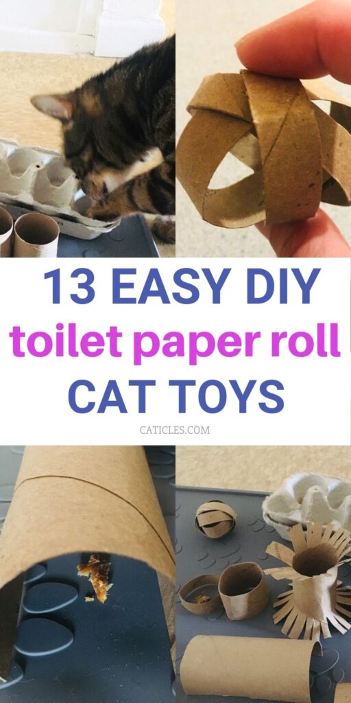 easy diy cat toys toilet paper roll caticles.com