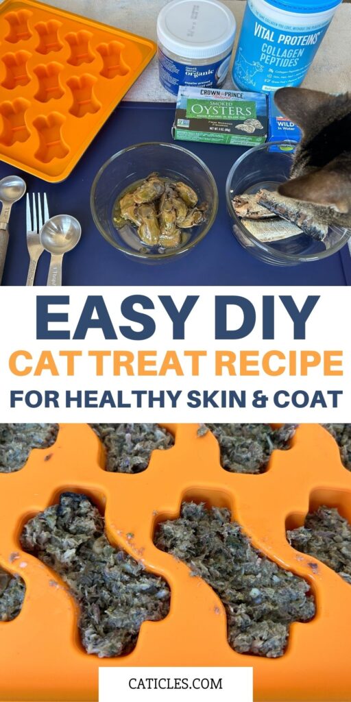 easy diy cat treat recipe for healthy skin and coat caticles.com