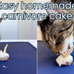 easy homemade cat treat carnivore cake jess and jericho caticles.com