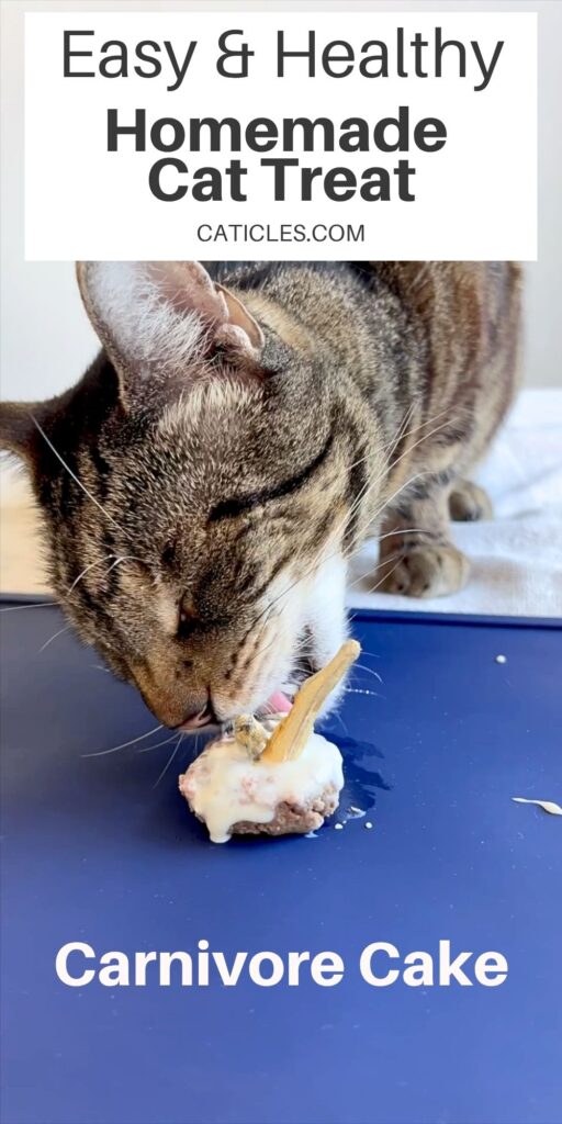 easy homemade cat treat recipe healthy carnivore cake jess and jericho caticles.com