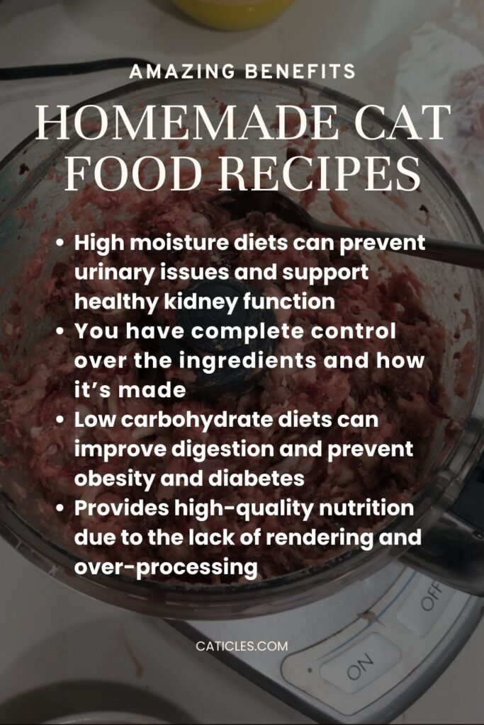 homemade cat food recipes benefits caticles.com