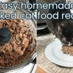 homemade cooked chicken cat food recipe jess and jericho caticles.com