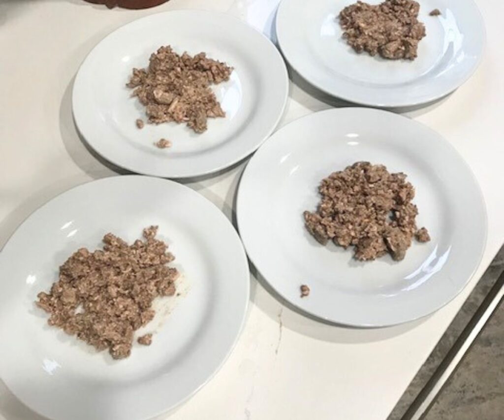 homemade cooked chicken cat food recipe on plates jess and jericho caticles.com