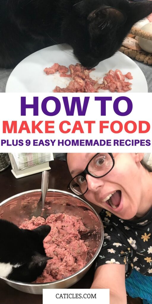how to make cat food easy diy recipes caticles.com