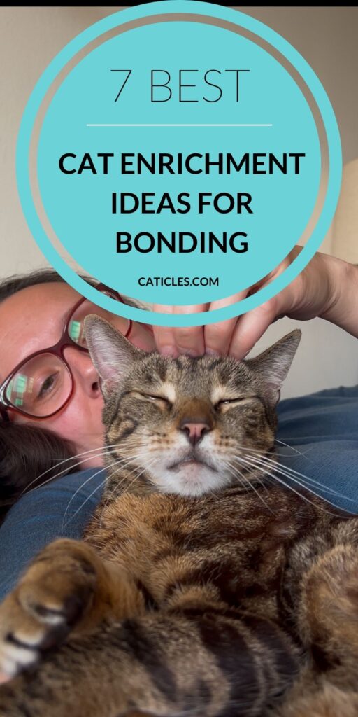how to pet a cat enrichment ideas for bonding caticles.com