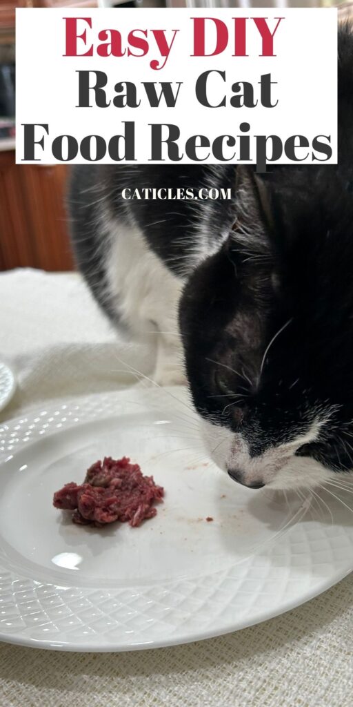 viva raw easy diy raw cat food recipe homemade caticles.com