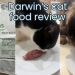 darwins cat food review jess and jericho caticles.com