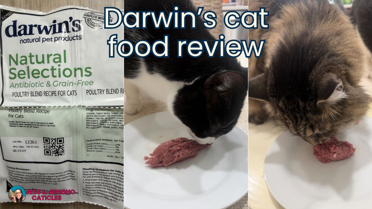 darwins cat food review jess and jericho caticles.com