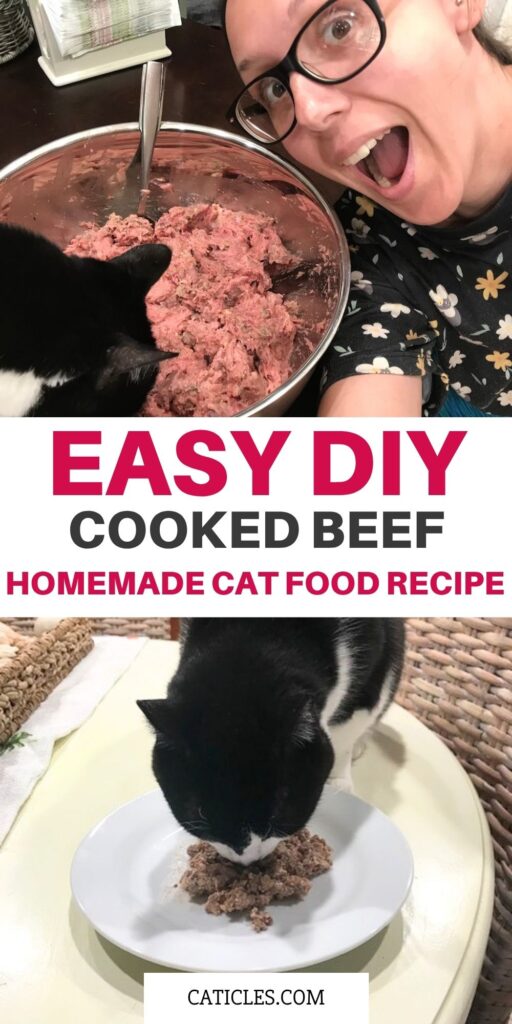 easy diy cat food recipe cooked beef caticles.com