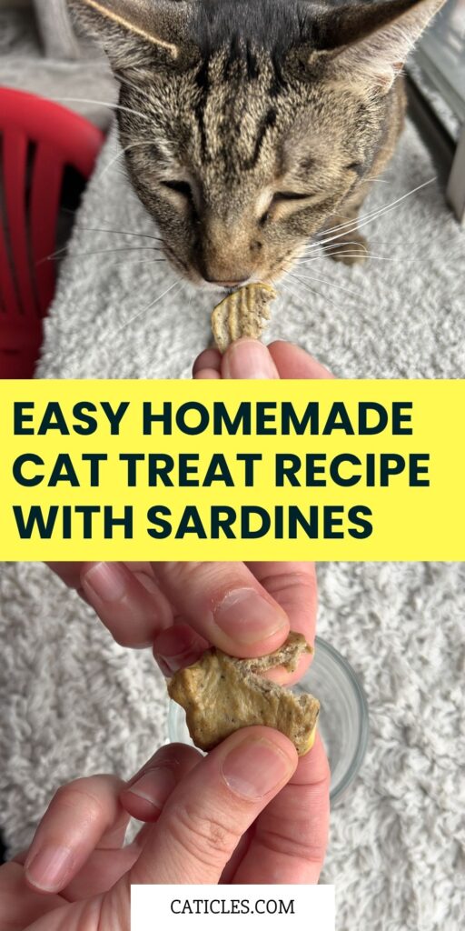 easy homemade cat treats recipe with sardines caticles.com