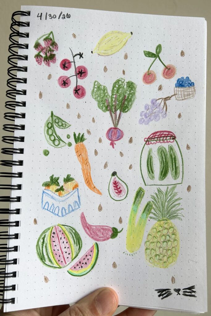fruit and veggies colored pencil drawing fun things to draw jess and jericho caticles.com