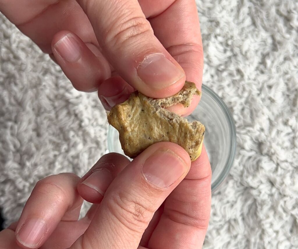 homemade cat treats recipe with sardines on baking sheet jess and jericho caticles.com (2)