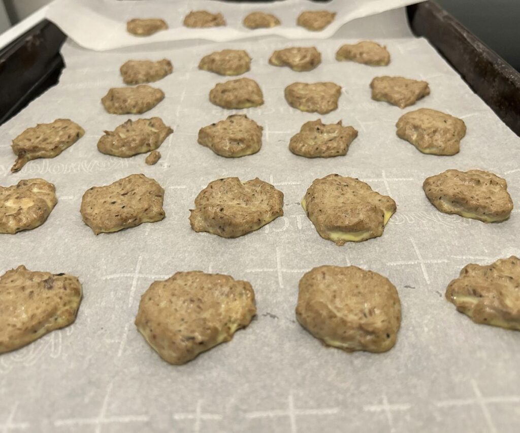 homemade cat treats recipe with sardines on baking sheet jess and jericho caticles.com