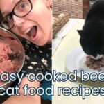 homemade cooked beef cat food recipes for beginners jess and jericho caticles.com