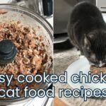 homemade cooked chicken cat food recipes for beginners jess and jericho caticles.com