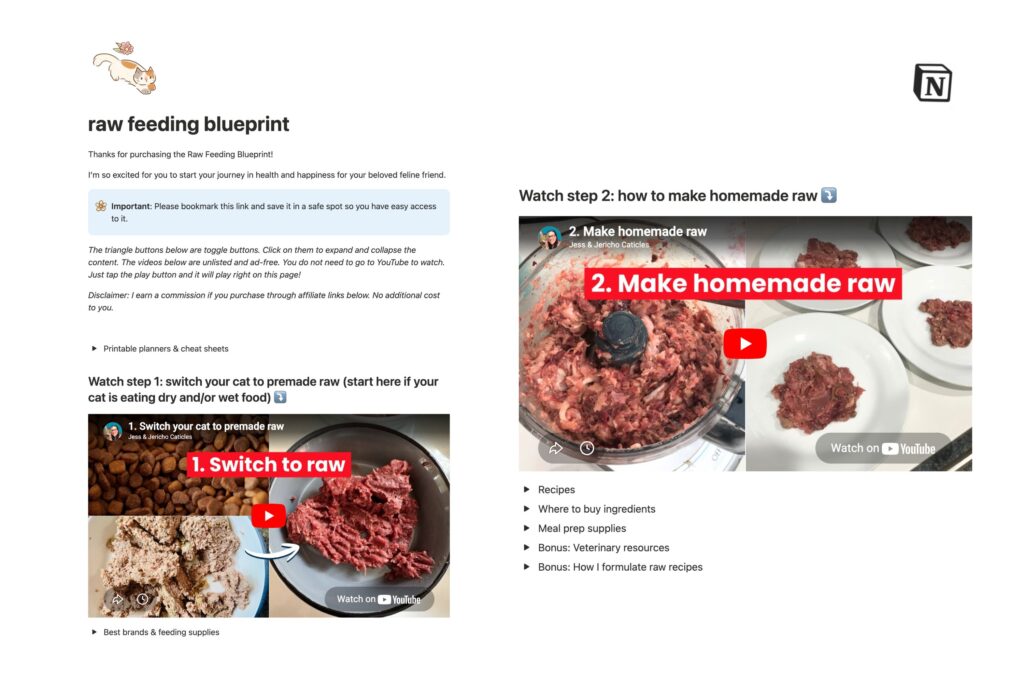 raw feeding blueprint notion (1)