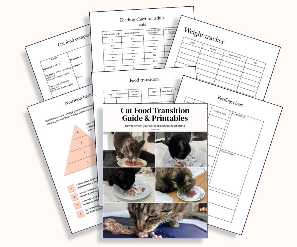 cat food transition guide & printables mockup