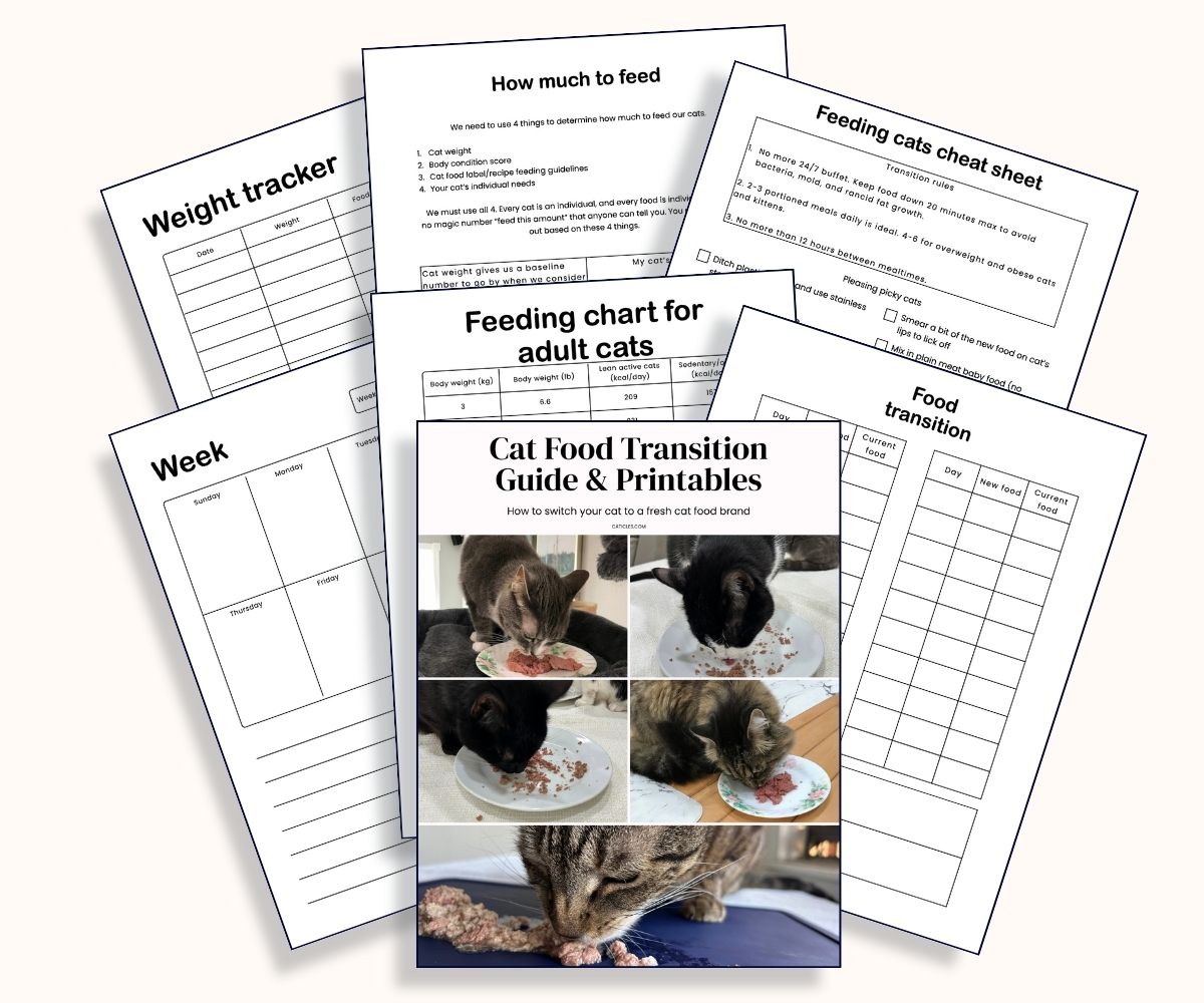 cat food transition guide & printables mockup