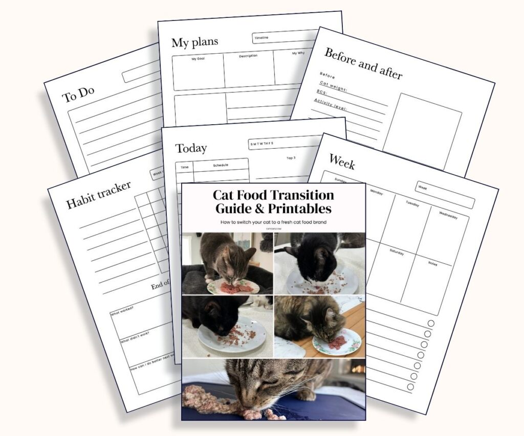 cat food transition guide & printables planners