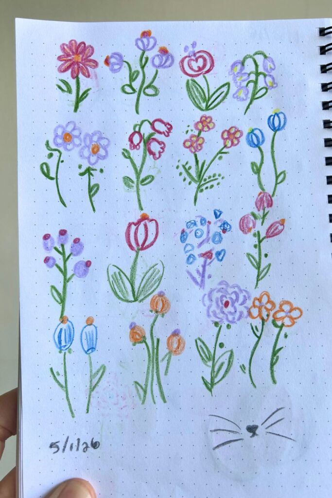 flowers colored pencil drawing fun things to draw jess and jericho caticles.com