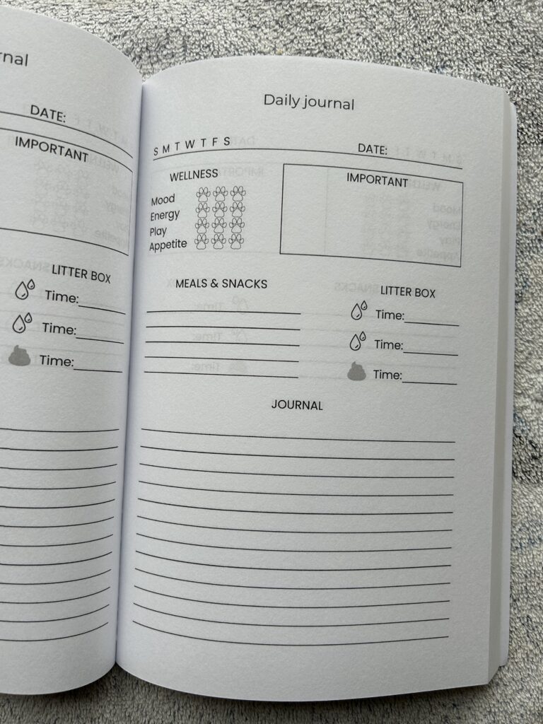 jericho's journal interior page vertical