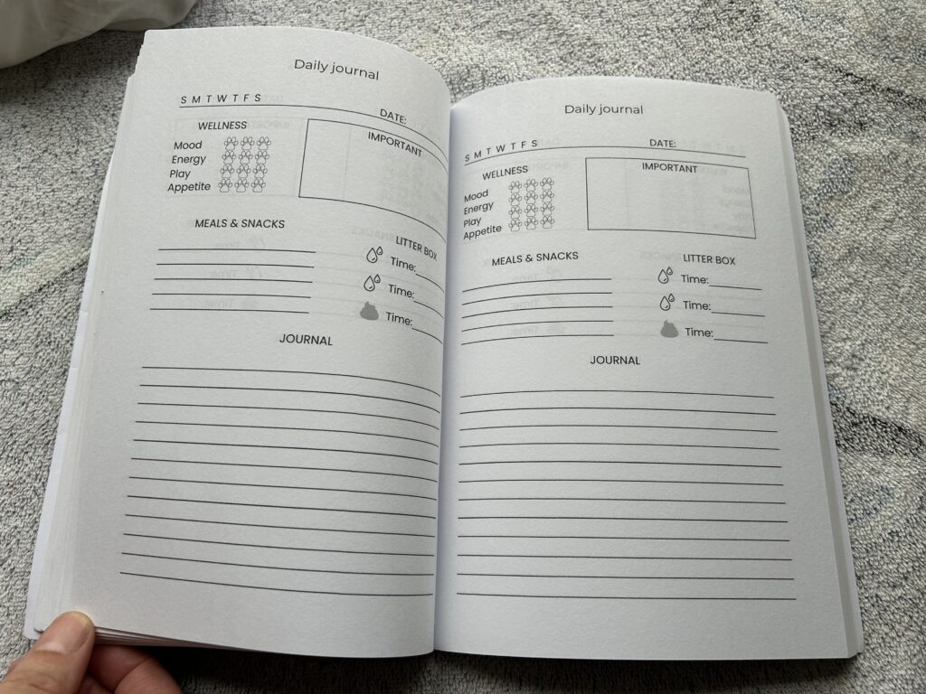 jericho's journal interior pages