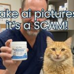 purrvita taurine powder fake ai scam picture caticles.com
