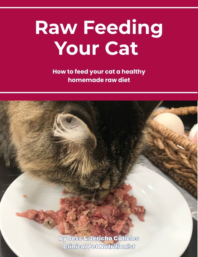 Raw Feeding Your Cat ebook Jess & Jericho caticles.com