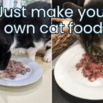 heavy metals found in cat food caticles.com