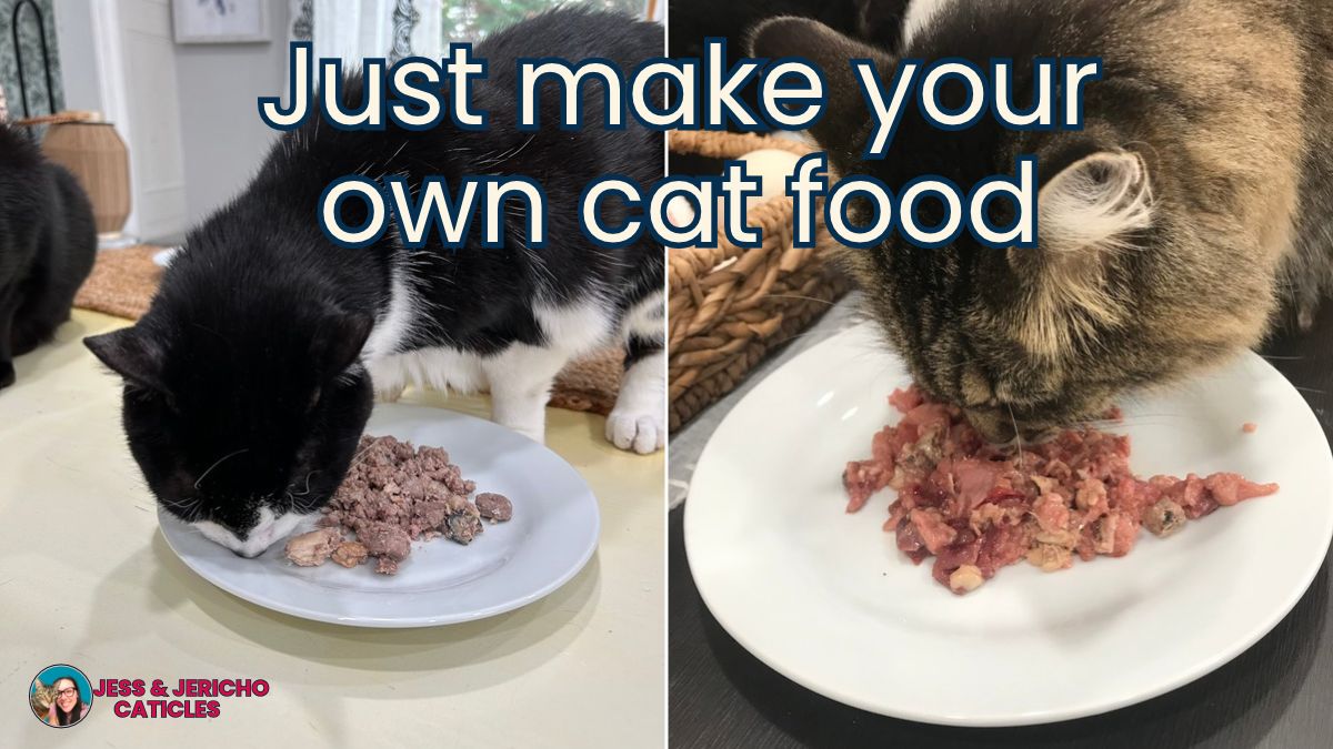 heavy metals found in cat food caticles.com